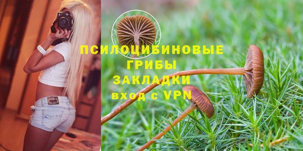 МДПВ Нязепетровск