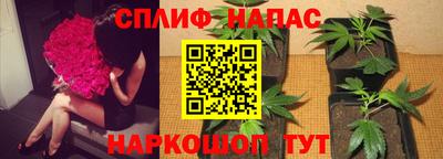 трава Бийск