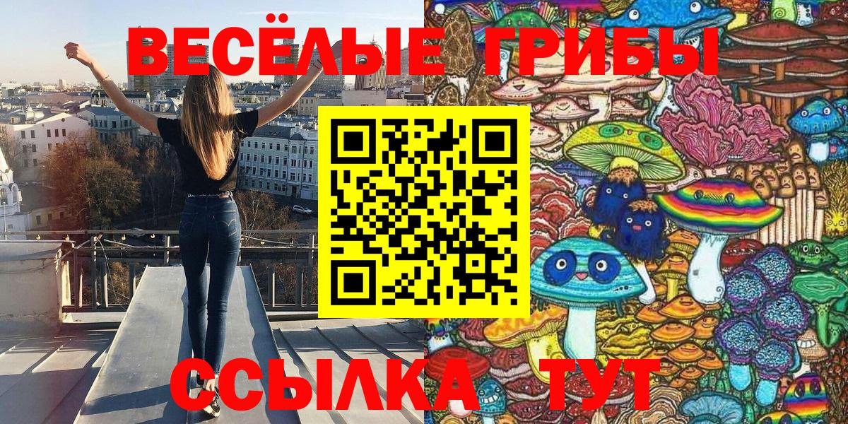 Галлюциногенные грибы мицелий  Вход с VPN  Боровичи 